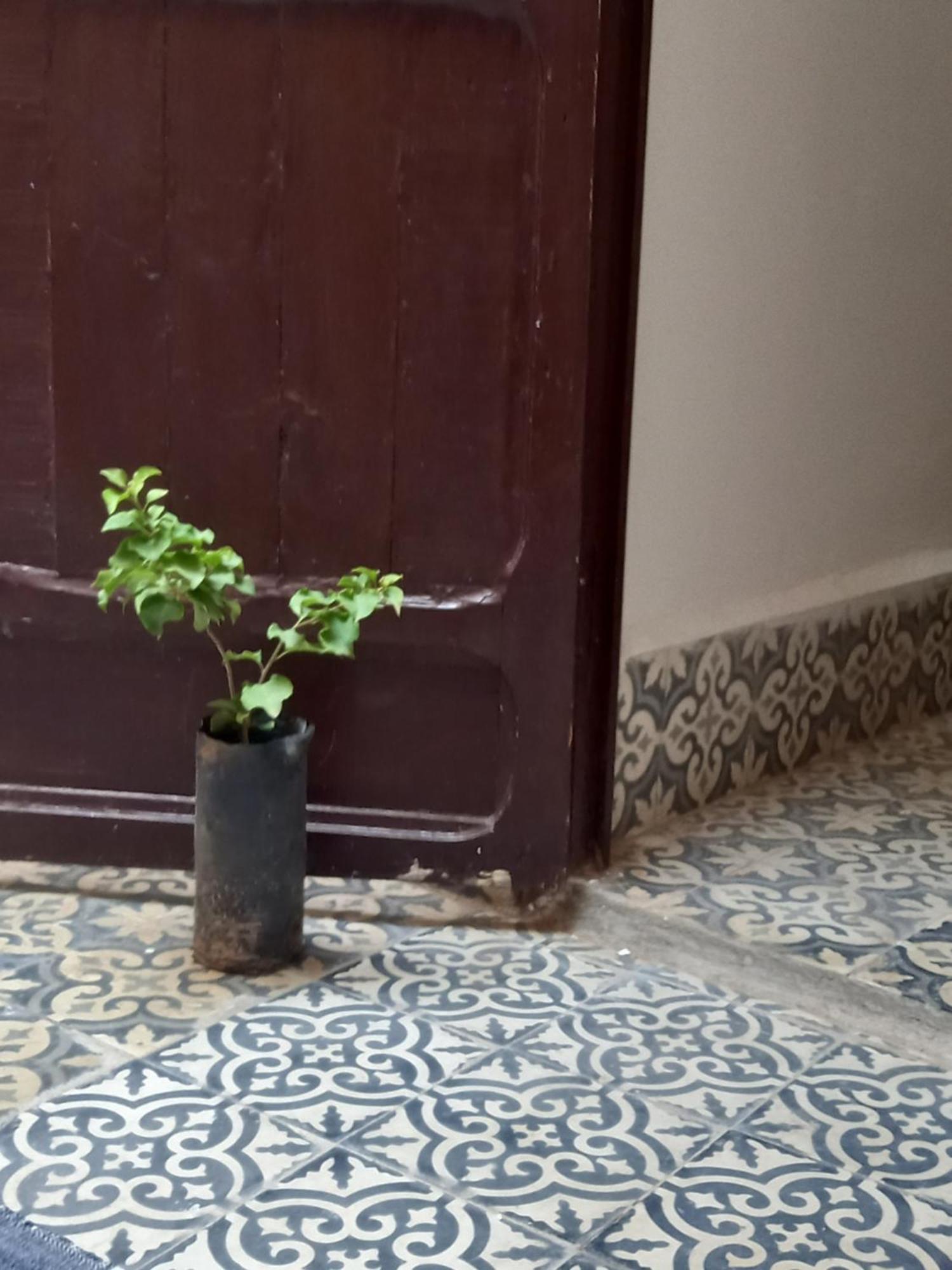 مبيت وإفطار مراكش Juli'S المظهر الخارجي الصورة